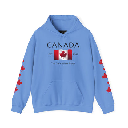 A custom hoodie with Canada in large letters on the front, there is a maple flag that looks like it is blowing in the wind with the words the great white north underneath, there are maple leaves along each sleeve of the hoodie.