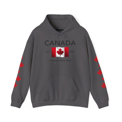 A custom hoodie with Canada in large letters on the front, there is a maple flag that looks like it is blowing in the wind with the words the great white north underneath, there are maple leaves along each sleeve of the hoodie.